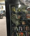 IMG_2437.jpeg