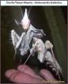 IMG_2452.jpeg