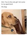 IMG_2447.jpeg