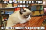 IMG_2494.jpeg