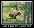 IMG_2515.jpeg