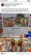 IMG_2495.jpeg