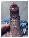 IMG_3569.jpeg
