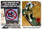 IMG_2575.jpeg