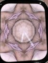 IMG_1575.jpeg