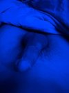 IMG_2231.jpeg