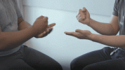 giphy (1).gif