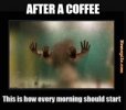 IMG_6838.jpeg