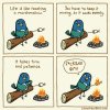 FB_IMG_1718059205730.jpg