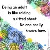 IMG_7597.jpeg