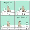 78E61023-A754-42EB-8175-664B410E59DB.jpeg
