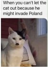 IMG_0332.jpeg
