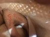 F7DE1A16-D4DD-4D58-91AC-CCD55313CFF6.jpeg