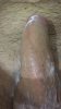 9A890640-1999-447B-B000-5D5F647EB4B0.jpeg