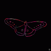 giphy (1).gif
