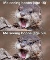 IMG_0395.jpeg
