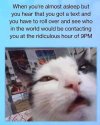 FB_IMG_1719152156620.jpg