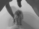 1000030355.gif