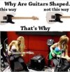 IMG_8383.jpeg