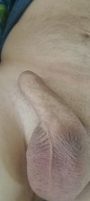 1724080732957.jpg