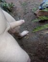 IMG_3697.jpeg