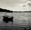 IMG_3844.jpeg