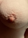 IMG_8179.jpeg