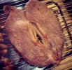 IMG_1429.jpeg