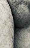 IMG_2889.jpeg