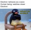 462840699_837481538600075_77616093859894368_n.jpg