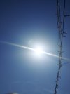 20240316_130904.jpg