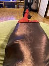 IMG_5750.jpeg