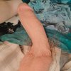 IMG20241031125538.jpg