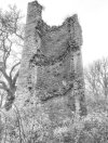 IMG_3582.jpeg