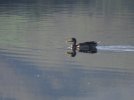 DSC00766.jpg