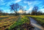 IMG_3616.jpeg