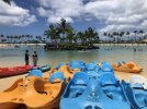 IMG_4725.jpeg