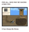 1733787782785.png