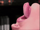 IMG_9084.gif