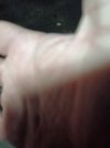 17355947575795924806236971595587.jpg