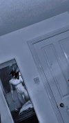 IMG_5630.jpeg