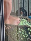 20240816_093959.jpg
