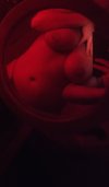 20250112_223116.jpg
