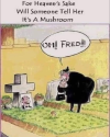 1737504525761.png