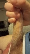 IMG20250220034849.jpg