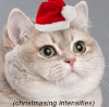 giphy-126.gif