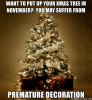 want-to-put-up-your-xmas-tree-in-november-you-53252505-1.png
