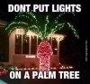 112b9674124dea23fd2665b1aa2c3491--funny-christmas-images-christmas-meme.jpg