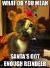 c9880d95da45305f61e79fd975688474.png