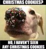 yellow-octopus-christmas-memes-21.jpg